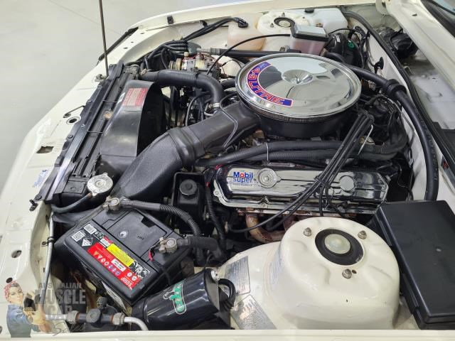 hdt commodore 873178 059