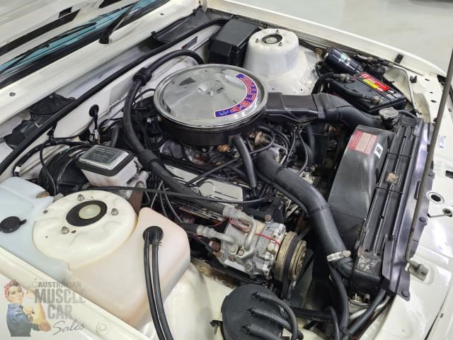 hdt commodore 873178 061