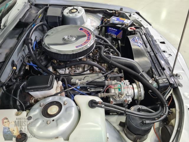 hdt commodore 873179 059