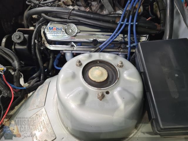 hdt commodore 873179 079