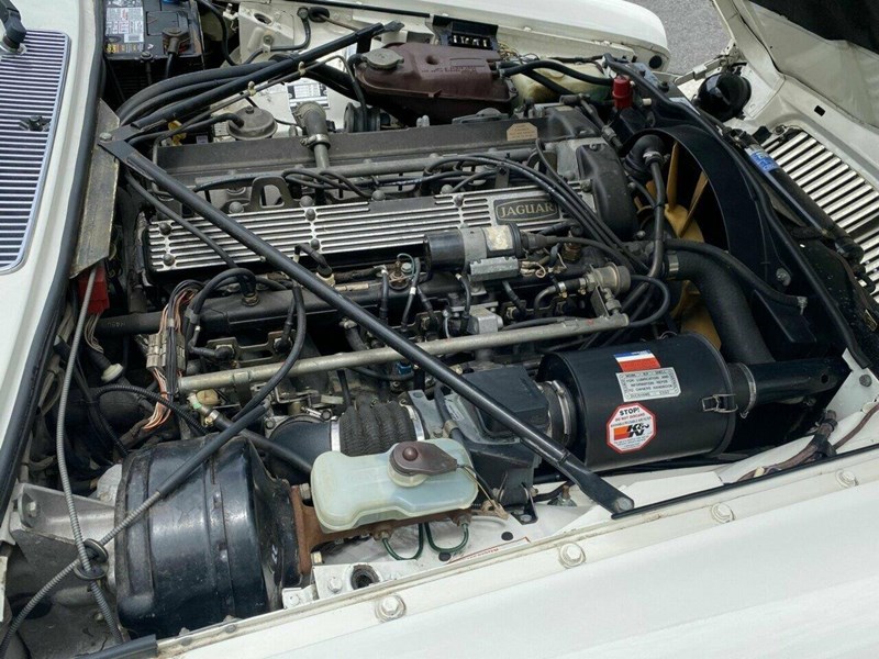 jaguar sovereign 873730 019