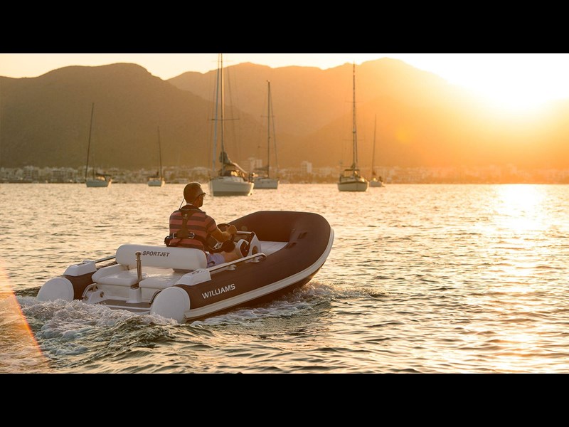 williams performance tenders sport jet 345 874317 001