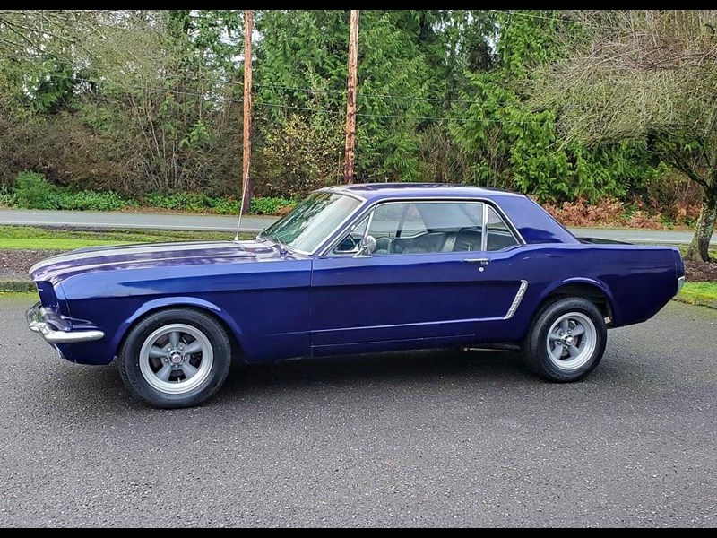ford mustang 874417 005