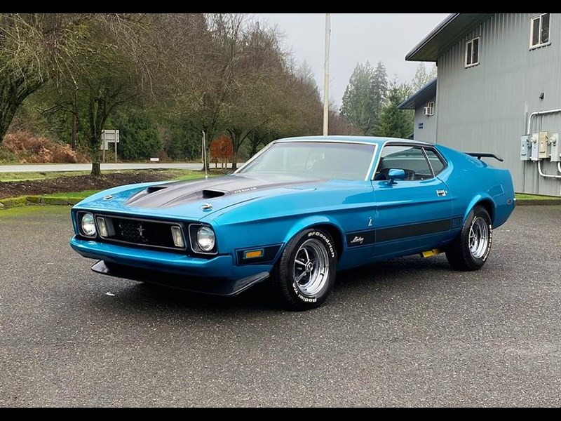 ford mustang mach 1 875460 001