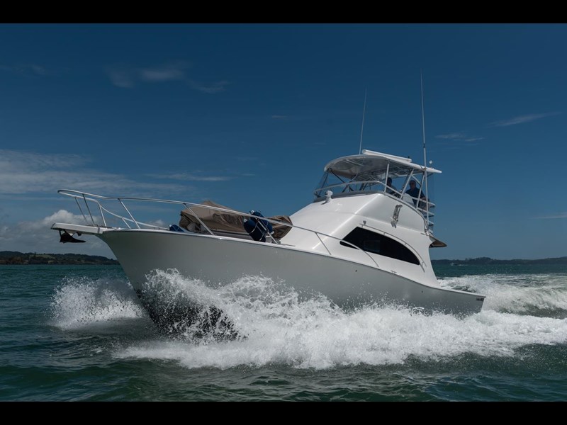 luhrs 36 875694 001