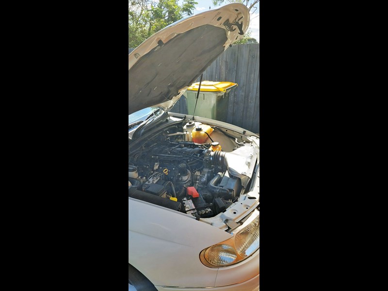 holden commodore 887702 013