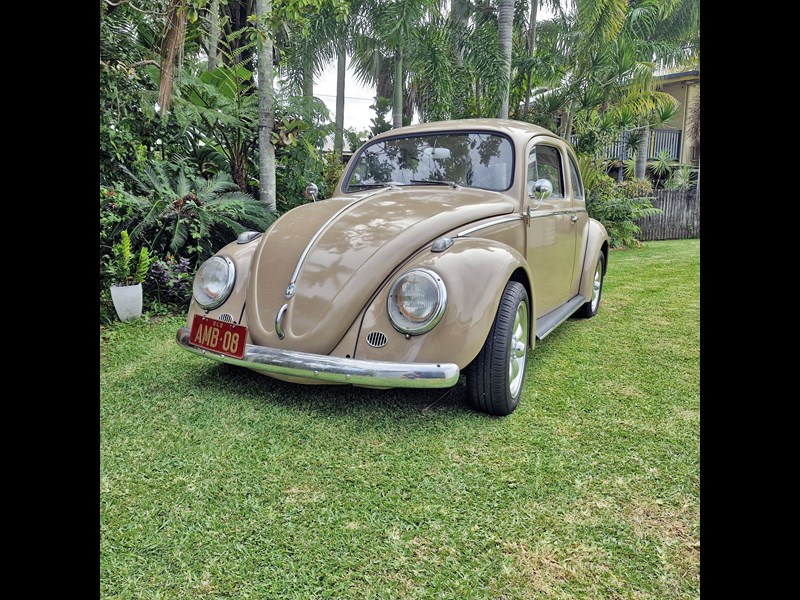 volkswagen beetle 976270 013
