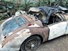 mg a 855288 078