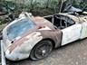 mg a 855288 056
