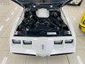pontiac firebird 862792 028