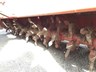 maschio condor 864568 014