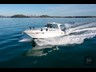 sea ray 42 865295 006