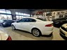 jaguar xf 862308 044