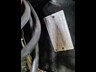 holden commodore 868318 052