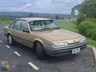 holden commodore 868449 008