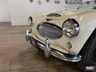 austin healey 3000 868878 040