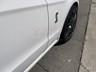 ford mustang 869194 050