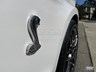 ford mustang 869194 052