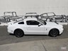 ford mustang 869194 028