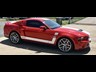 ford mustang shelby 872429 006