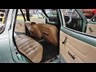 holden kingswood 872857 010
