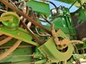 john deere s680 873013 052