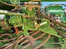 john deere s680 873014 038