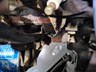 hdt commodore 873179 078