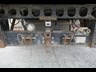 isuzu f series 856950 024