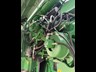 john deere s680 880685 024