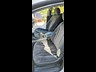 holden commodore 887702 024