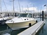boston whaler 315 pilothouse 810918 004