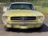 ford mustang 897564 014