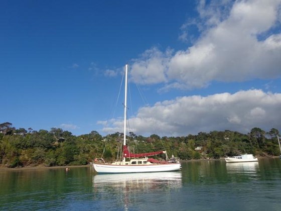 a class catamaran for sale nz