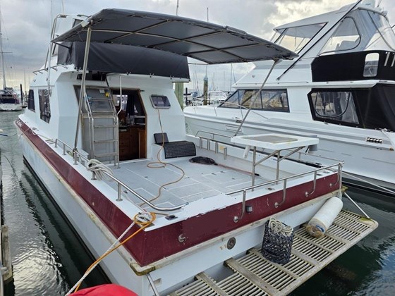PowerCat 3100 Platinum Series video review