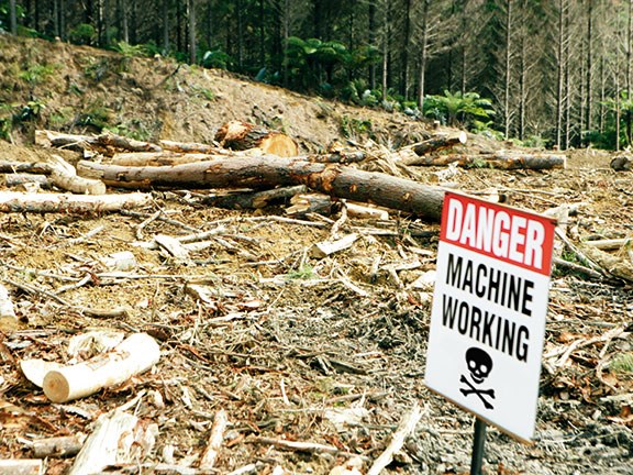 Troubled times ahead for loggers
