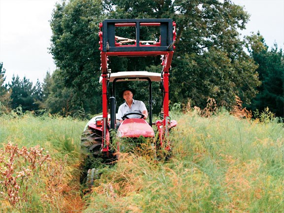 Mahindra-5500,-in-asparagus.jpg