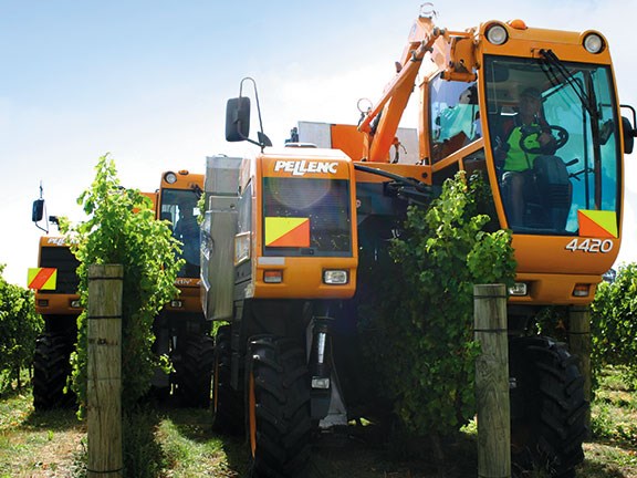 Brookfield Vine Services