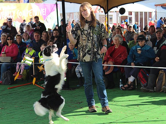 Fieldays 2014