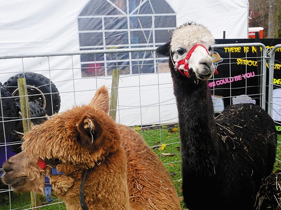 NZ National Fieldays