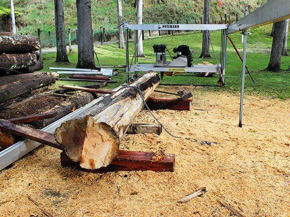 Peterson Portable Sawmills