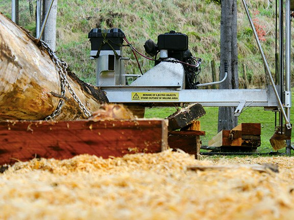Peterson Portable Sawmills