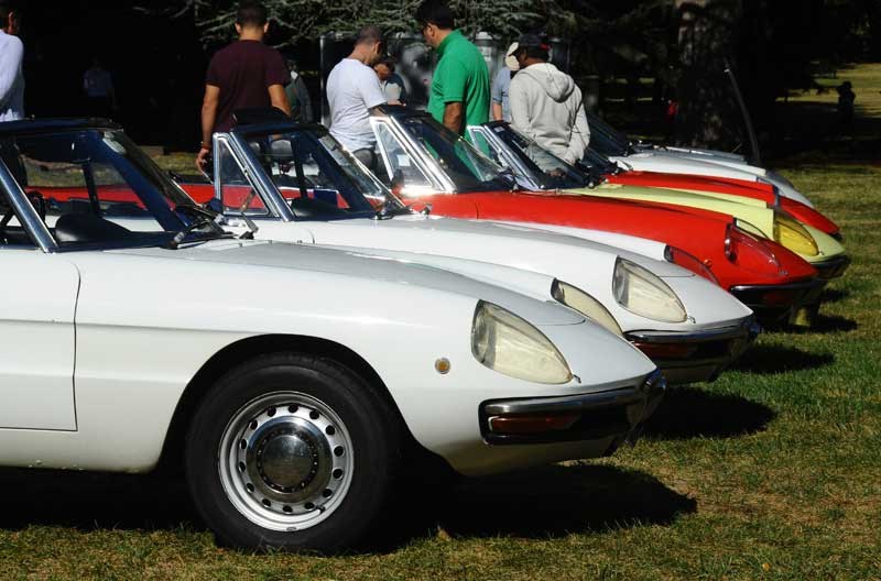 Auto Italia: Alfa Romeo Spider