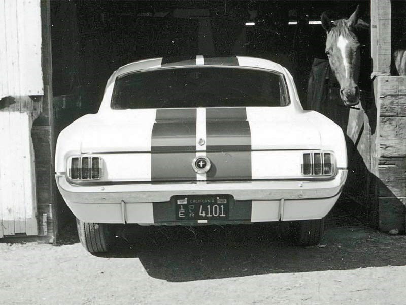 Shelby GT350