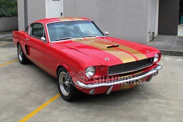 1966 Shelby Mustang GT350 Hertz 