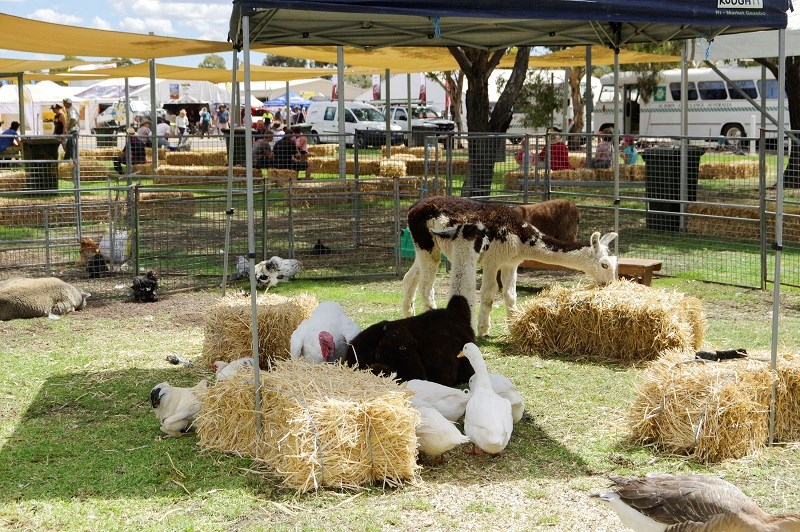 Livestock Wimmera 2014