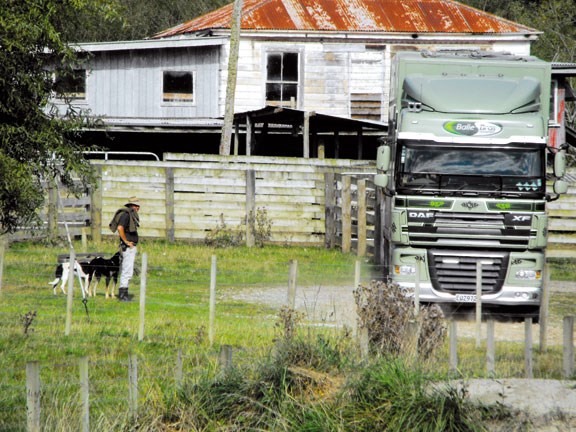 DAF XF 105