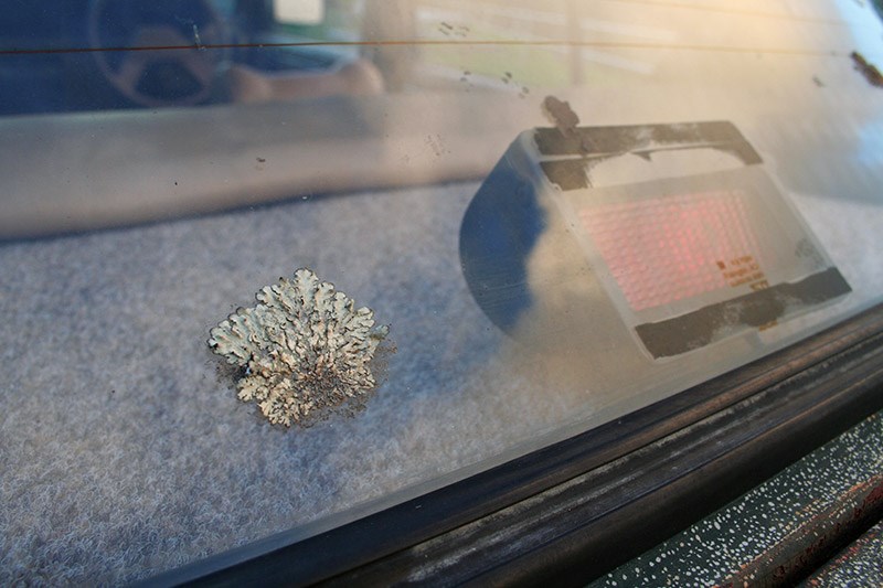 holden vb commodore window