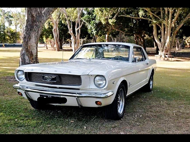 mustang 1