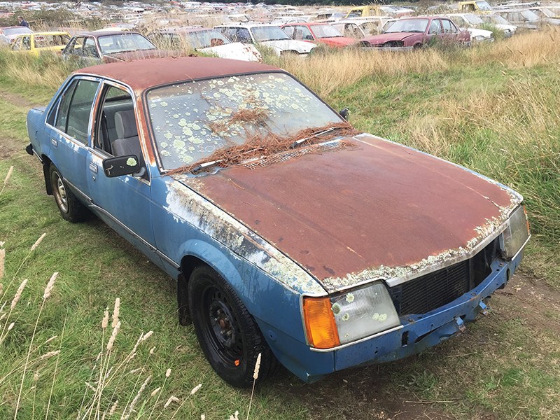 holden vc commodore trim 4